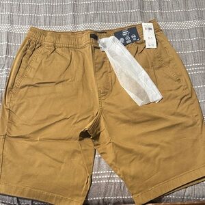 Hollister Men's Khaki Flat Front Shorts